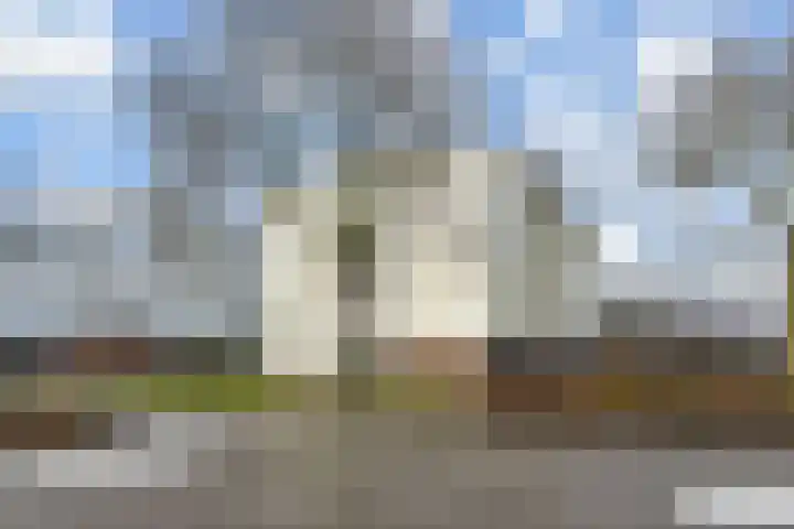 Dreeslaan 43 Naaldwijk thumbnail 34