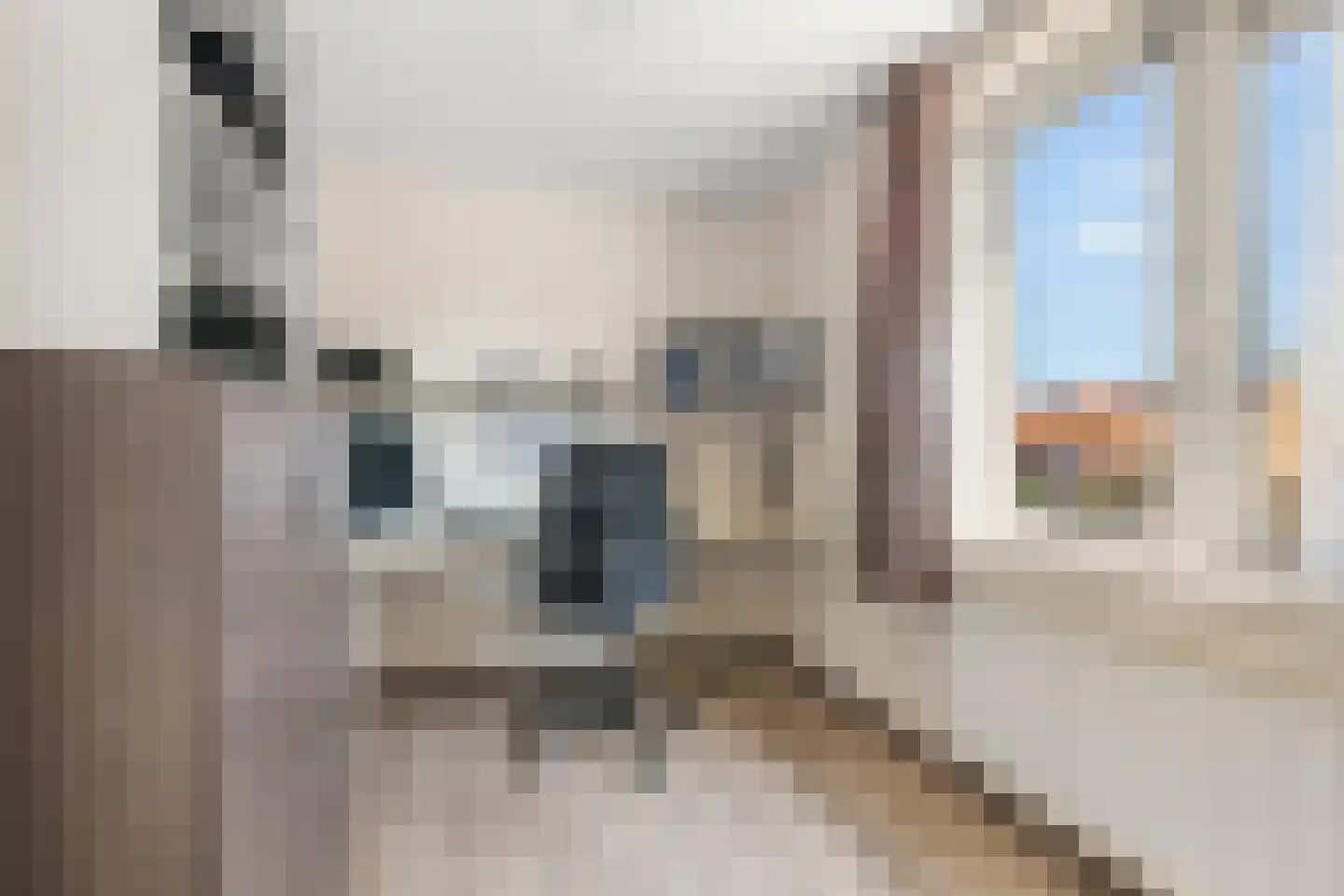 Dreeslaan 44 Uithoorn thumbnail 13