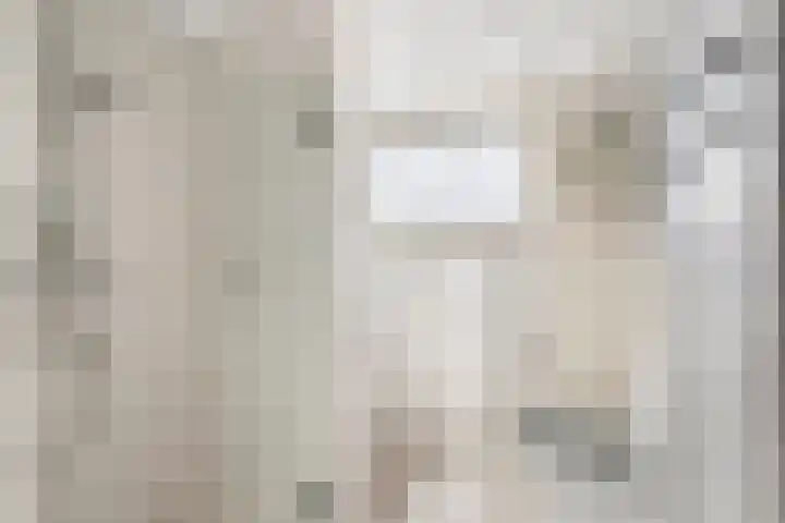Dreeslaan 44 Uithoorn thumbnail 15