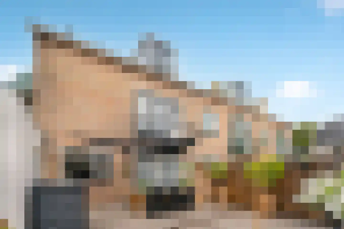 Dreeslaan 44 Uithoorn thumbnail 21