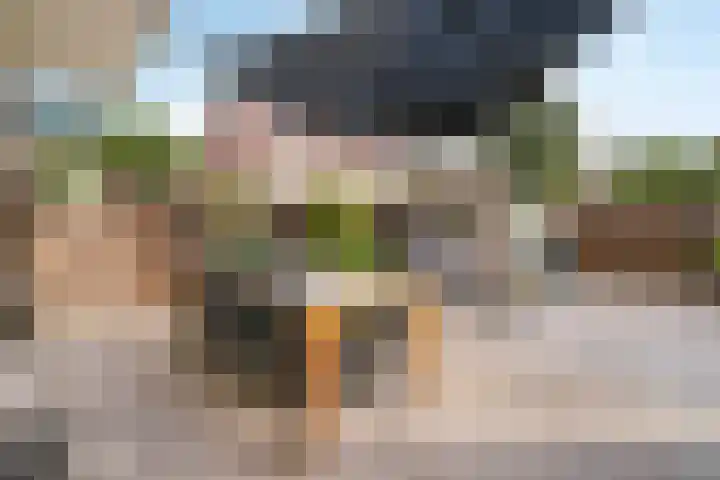 Dreeslaan 44 Uithoorn thumbnail 25