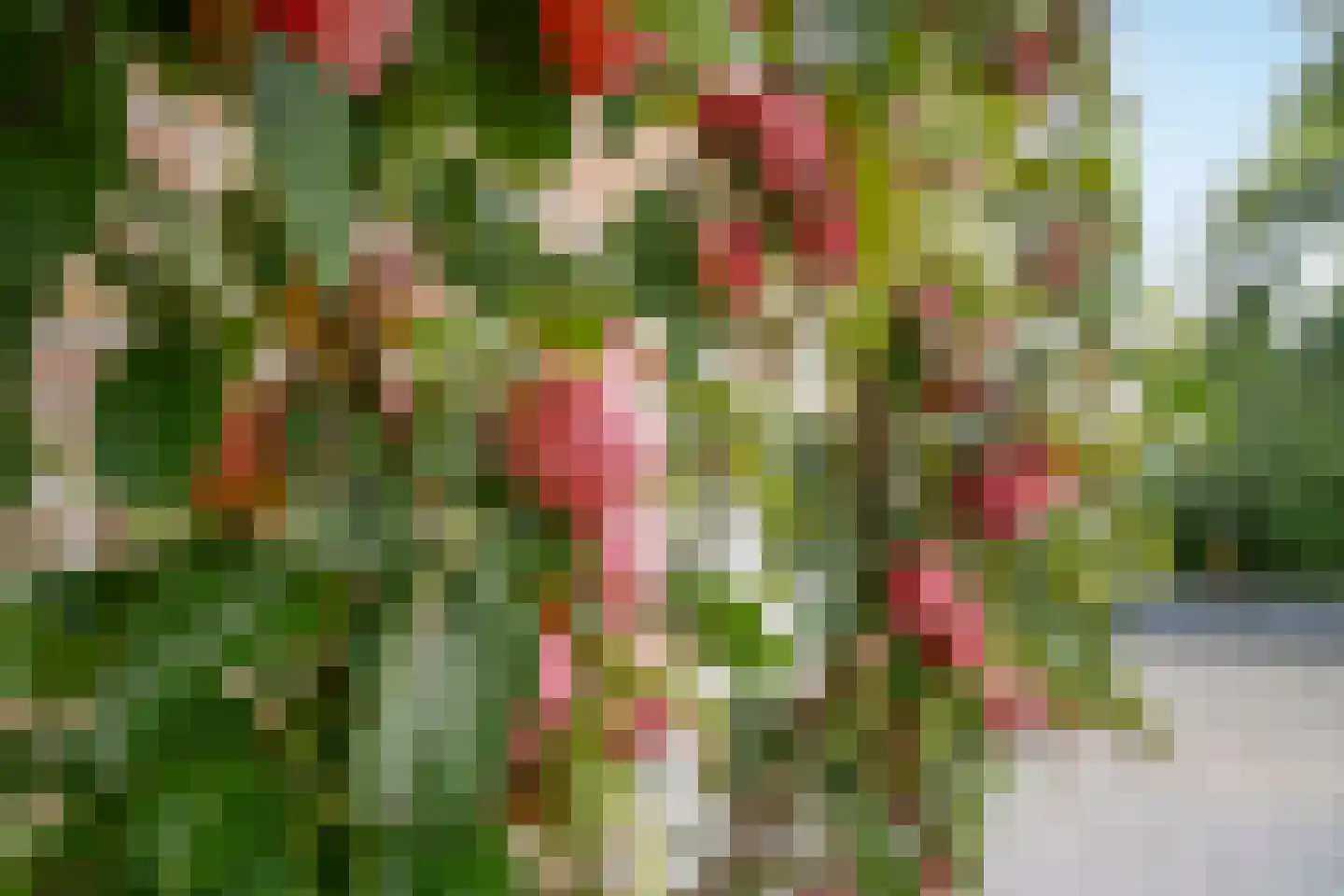 Dreeslaan 44 Uithoorn thumbnail 28