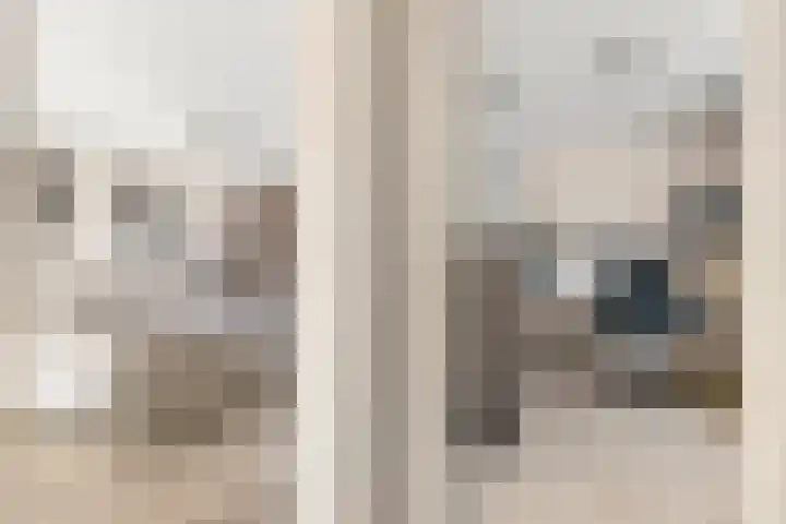 Dreeslaan 44 Uithoorn thumbnail 9
