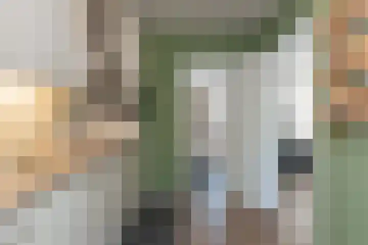 Dreeslaan 45 Nunspeet thumbnail 10