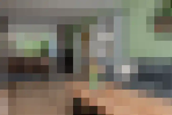 Dreeslaan 45 Nunspeet thumbnail 20