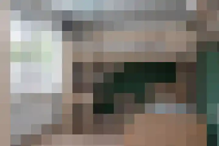 Dreeslaan 45 Nunspeet thumbnail 31