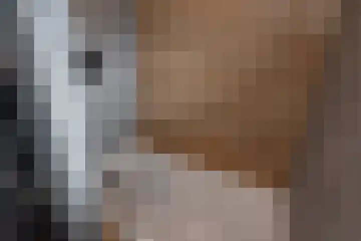Dreeslaan 45 Nunspeet thumbnail 39