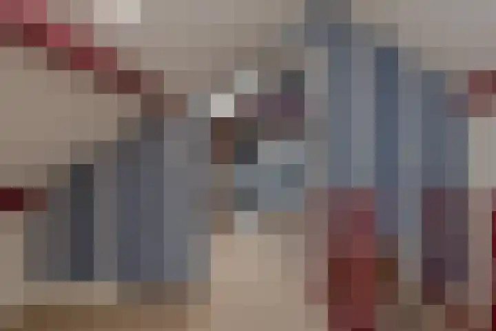 Dreeslaan 45 Nunspeet thumbnail 42
