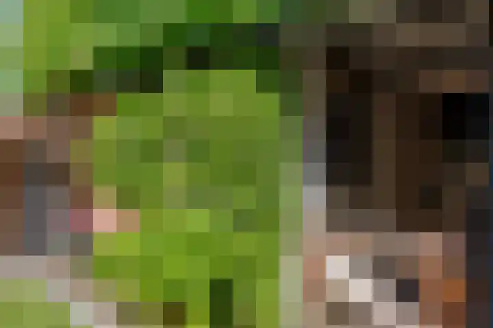 Dreeslaan 45 Nunspeet thumbnail 46