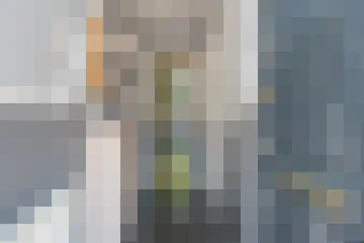 Dreeslaan 45 Nunspeet thumbnail 5