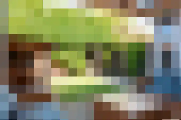 Dreeslaan 45 Nunspeet thumbnail 53