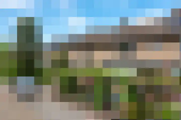 Dreeslaan 45 Nunspeet thumbnail 58