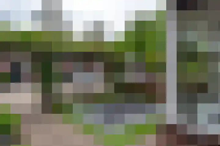 Dreeslaan 45 Nunspeet thumbnail 59