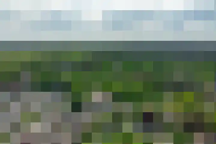Dreeslaan 45 Nunspeet thumbnail 65