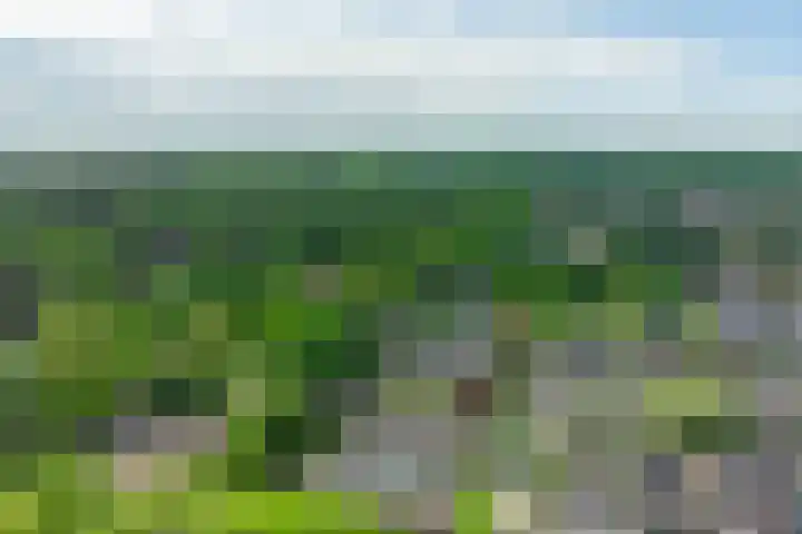 Dreeslaan 45 Nunspeet thumbnail 67