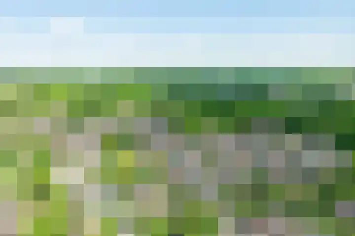 Dreeslaan 45 Nunspeet thumbnail 68