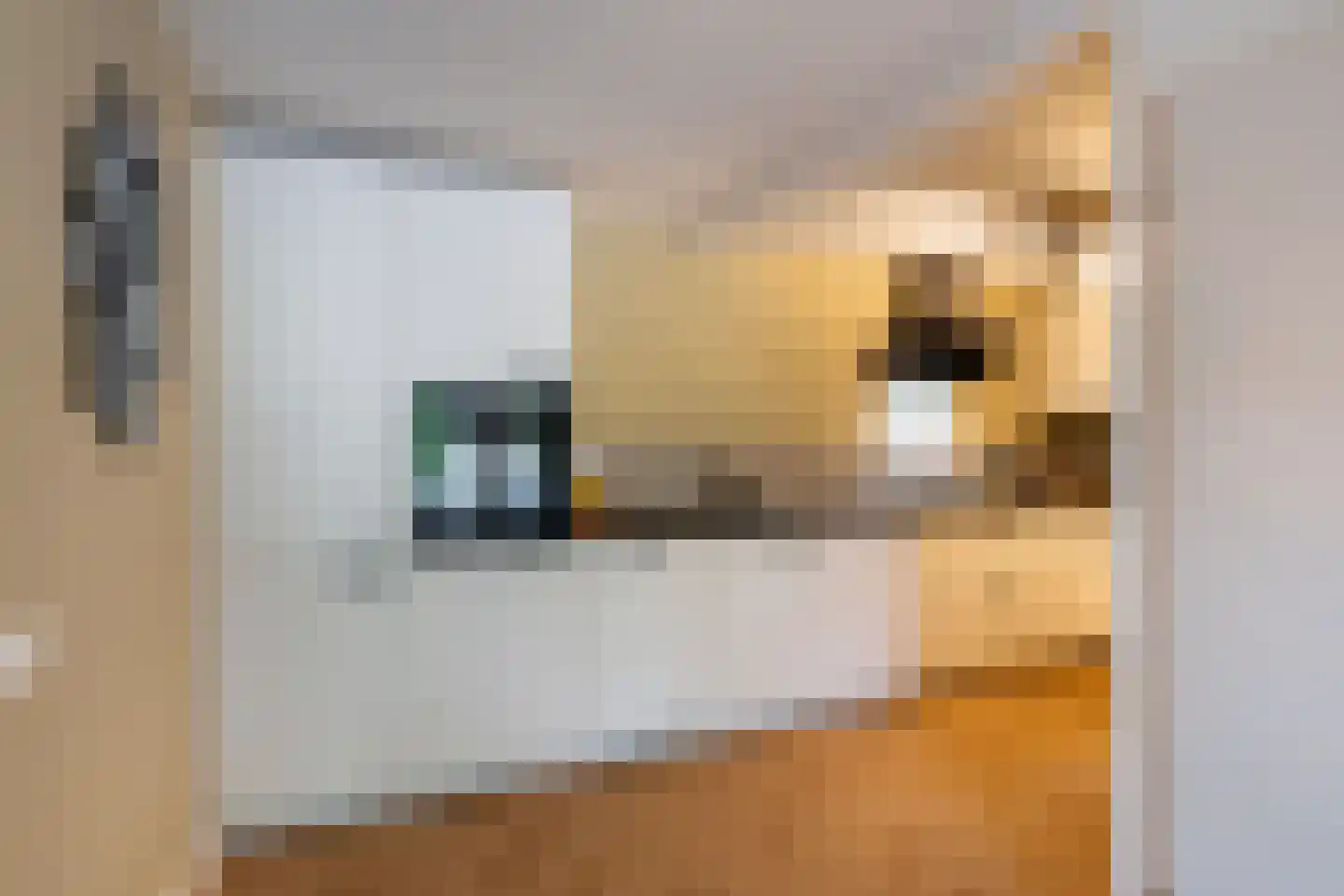 Dreeslaan 51 Naaldwijk thumbnail 12