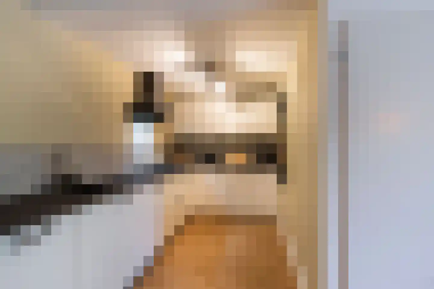 Dreeslaan 51 Naaldwijk thumbnail 13