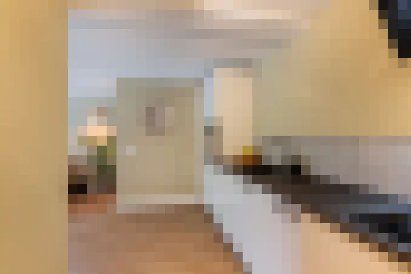 Dreeslaan 51 Naaldwijk thumbnail 14