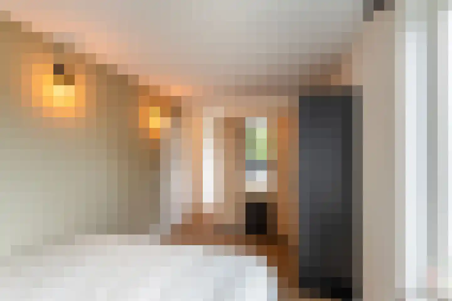 Dreeslaan 51 Naaldwijk thumbnail 18