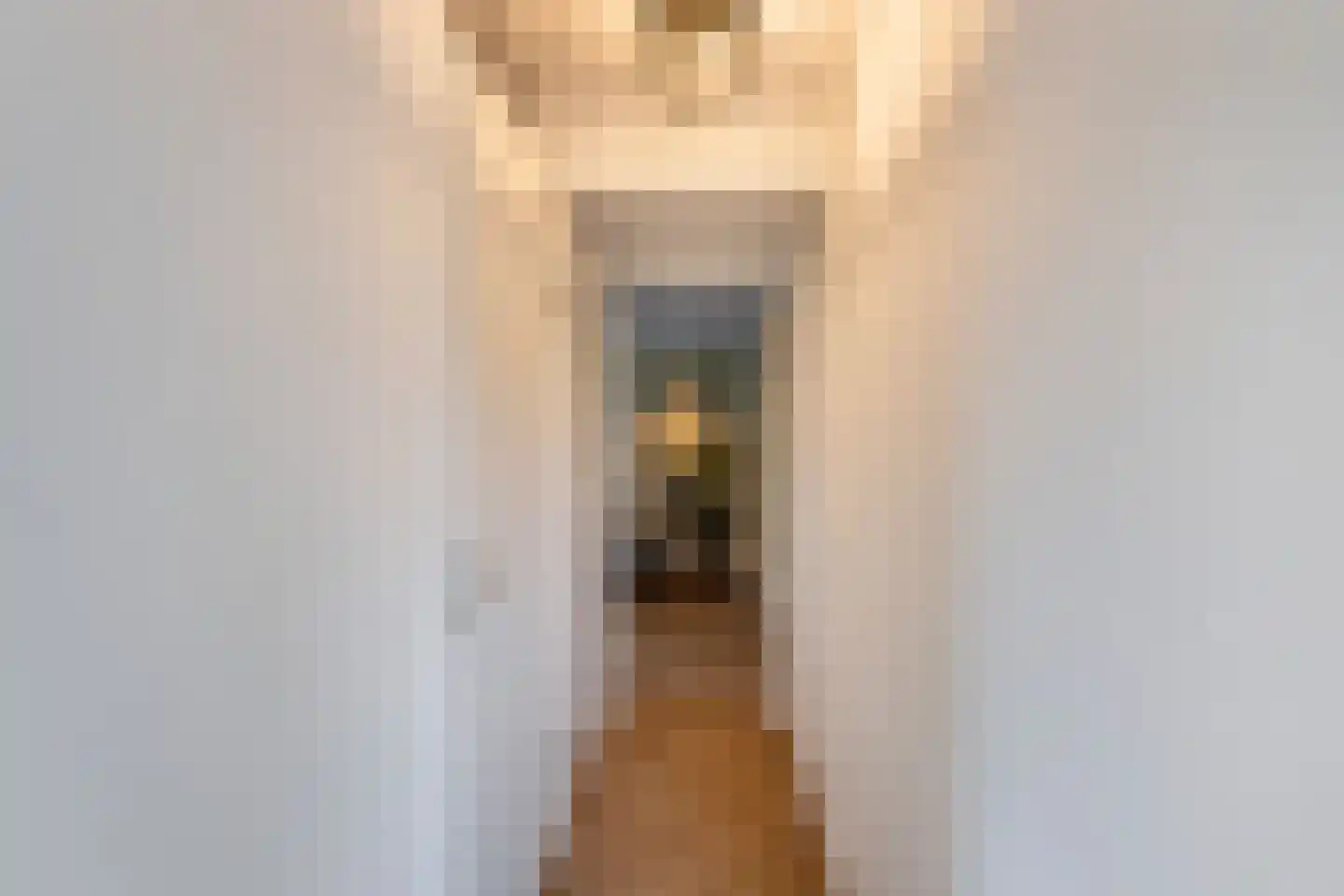Dreeslaan 51 Naaldwijk thumbnail 19
