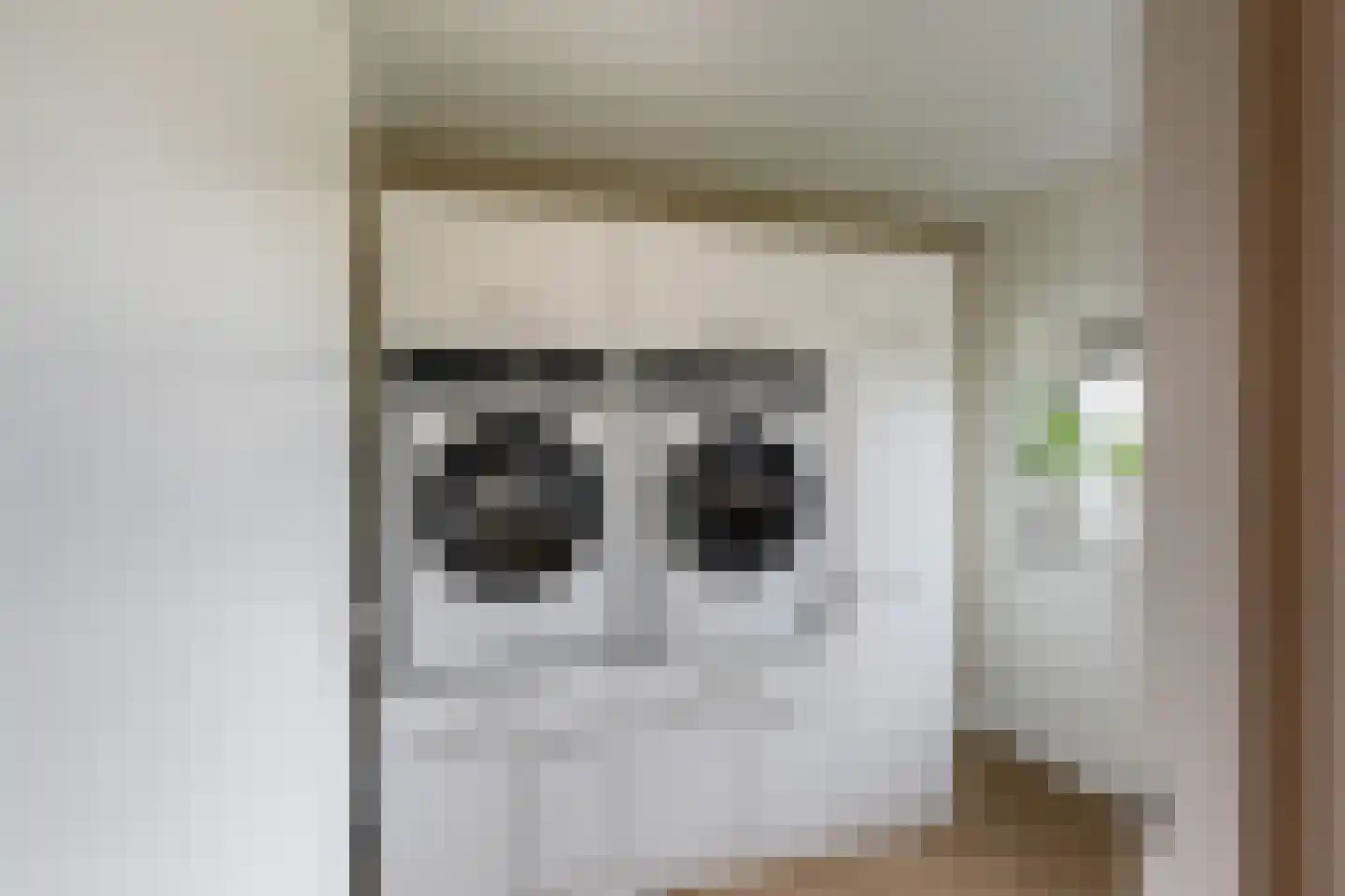 Dreeslaan 51 Naaldwijk thumbnail 22