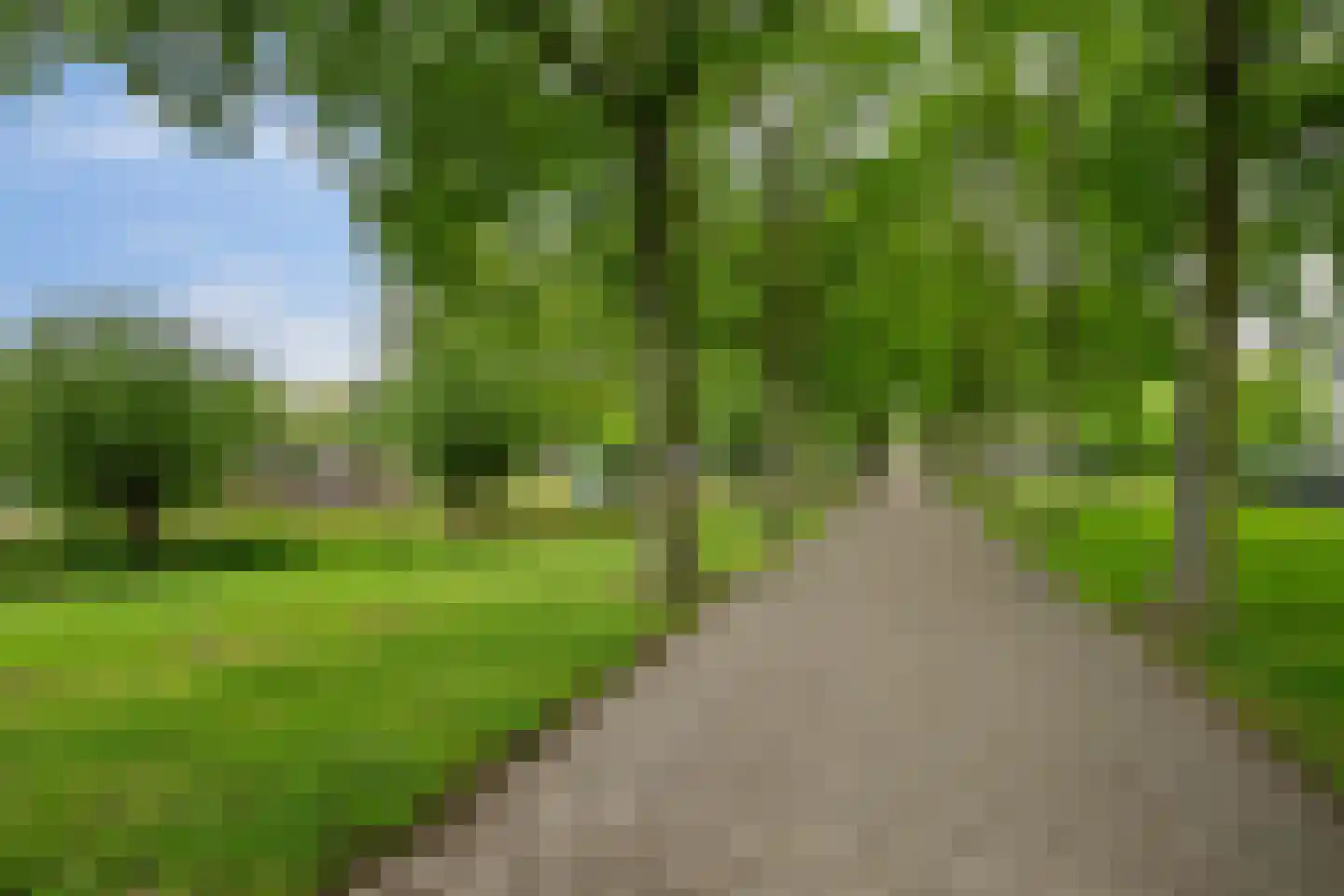 Dreeslaan 51 Naaldwijk thumbnail 24