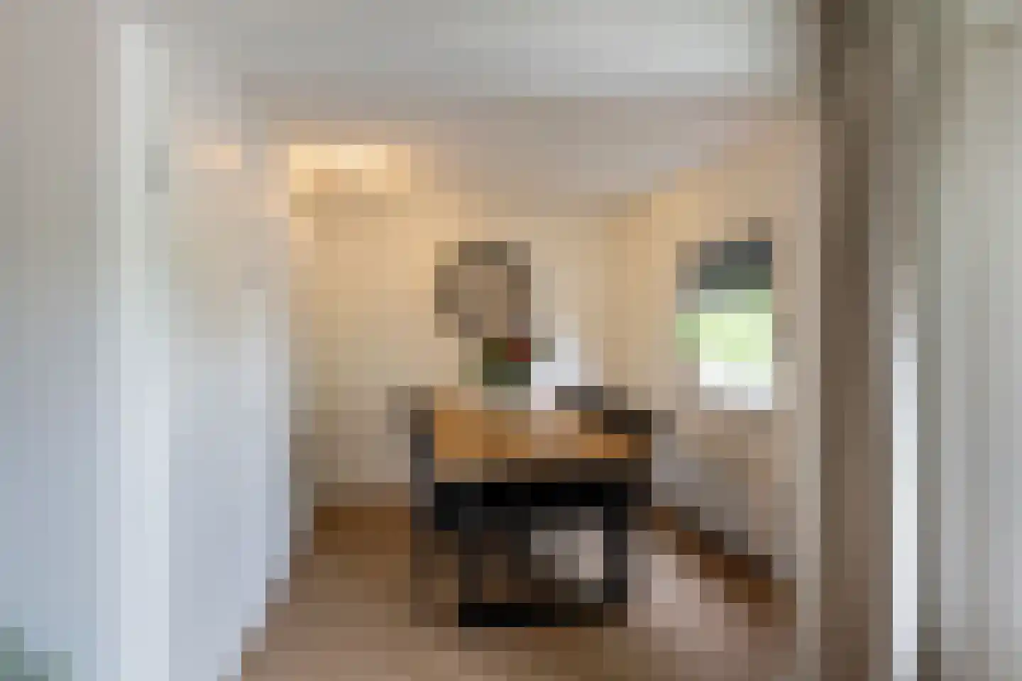 Dreeslaan 51 Naaldwijk thumbnail 5