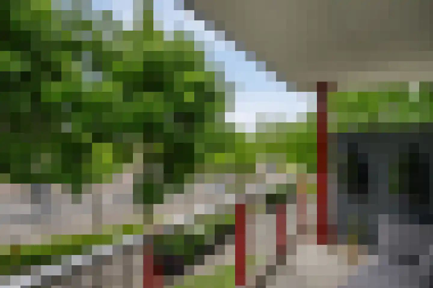 Dreeslaan 51 Naaldwijk thumbnail 7