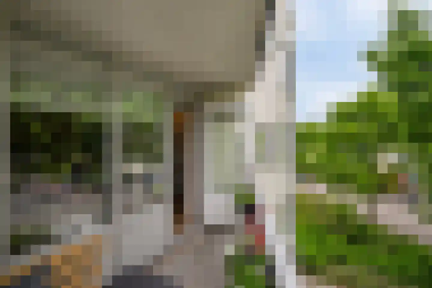 Dreeslaan 51 Naaldwijk thumbnail 8