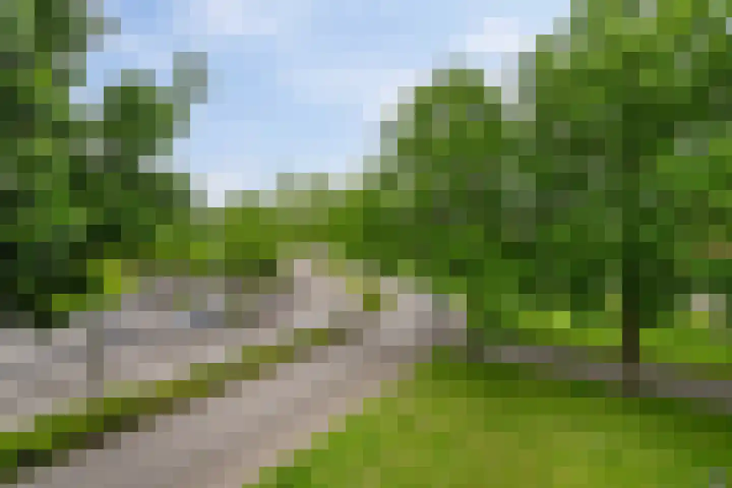 Dreeslaan 51 Naaldwijk thumbnail 9