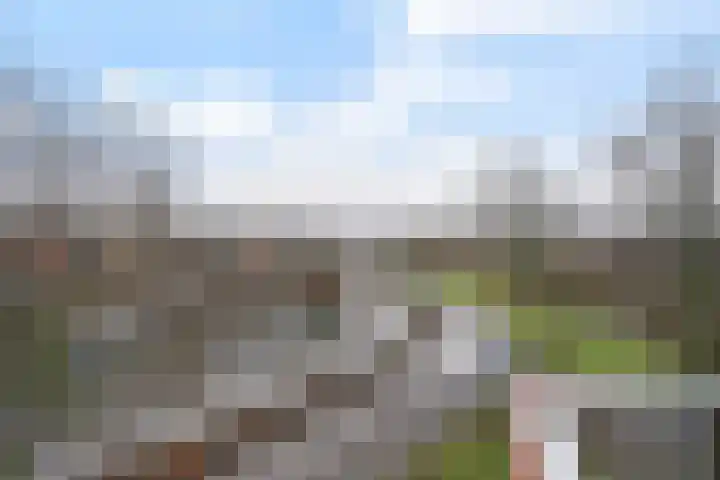 Dreeslaan 59 Naaldwijk thumbnail 11