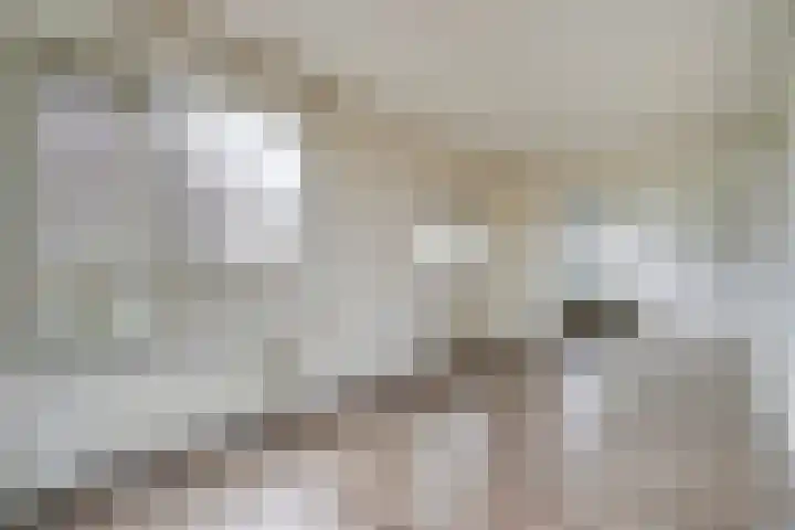 Dreeslaan 59 Naaldwijk thumbnail 15