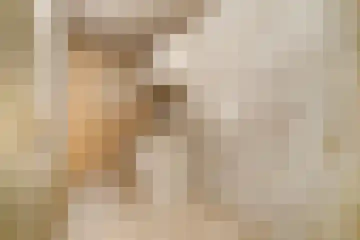 Dreeslaan 59 Naaldwijk thumbnail 27