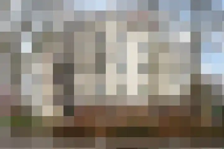 Dreeslaan 59 Naaldwijk thumbnail 28