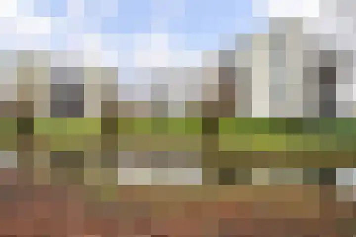 Dreeslaan 59 Naaldwijk thumbnail 30