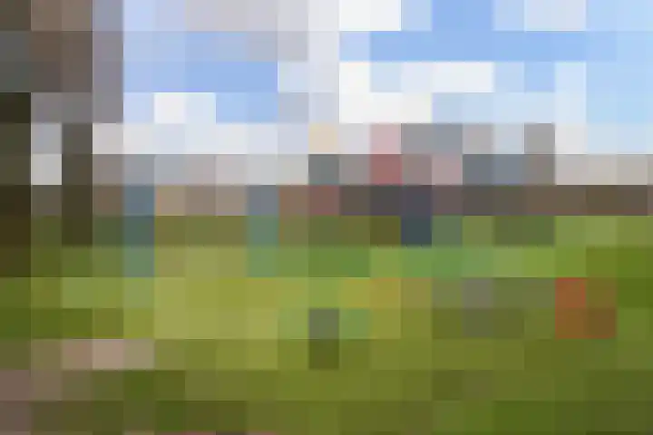 Dreeslaan 59 Naaldwijk thumbnail 32