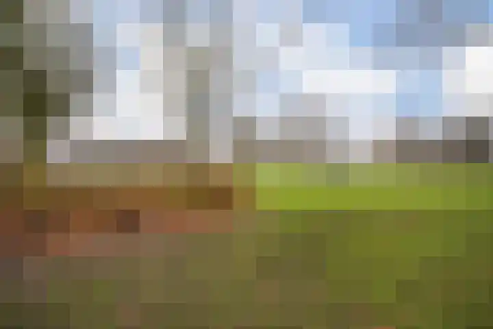 Dreeslaan 59 Naaldwijk thumbnail 33