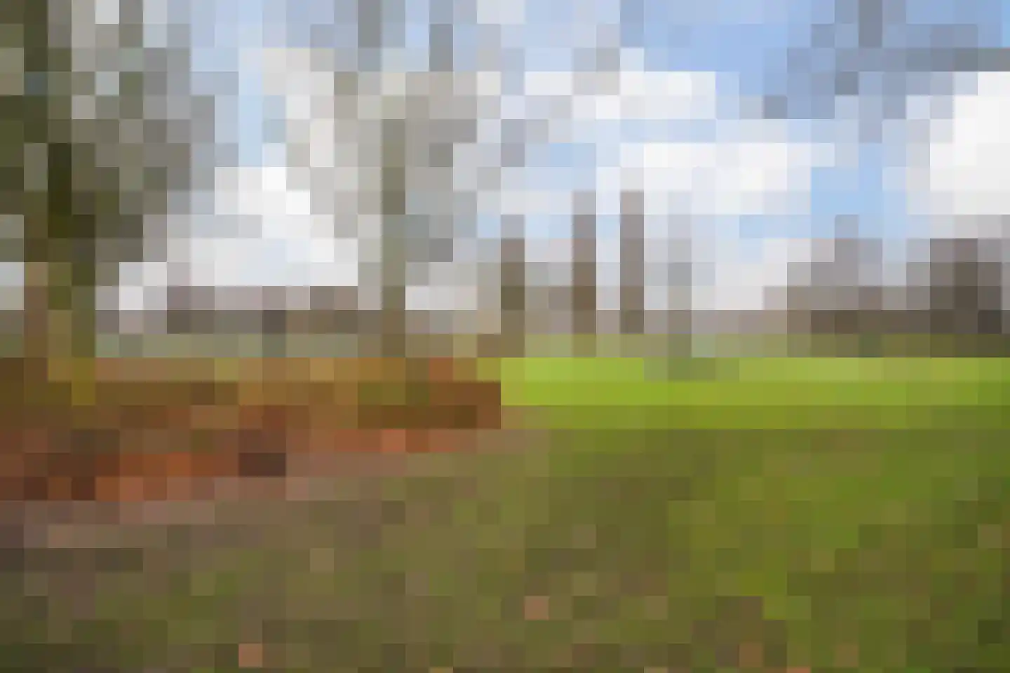 Dreeslaan 59 Naaldwijk thumbnail 33