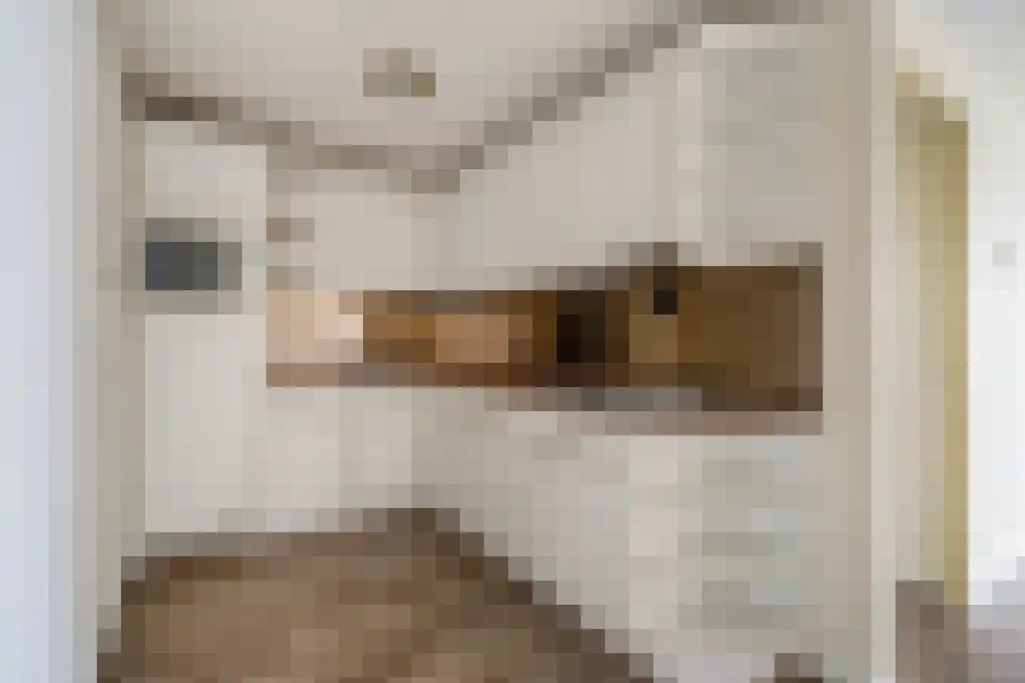 Dreeslaan 59 Naaldwijk thumbnail 4