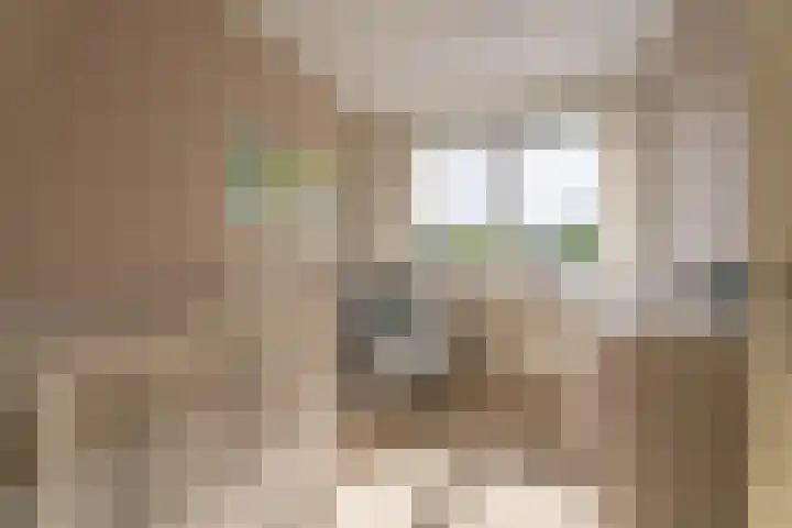 Dreeslaan 59 Naaldwijk thumbnail 4