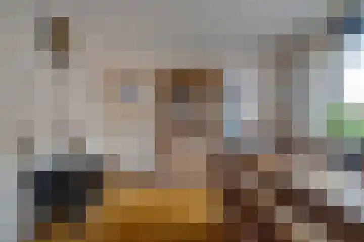 Dreeslaan 6 Havelte thumbnail 10