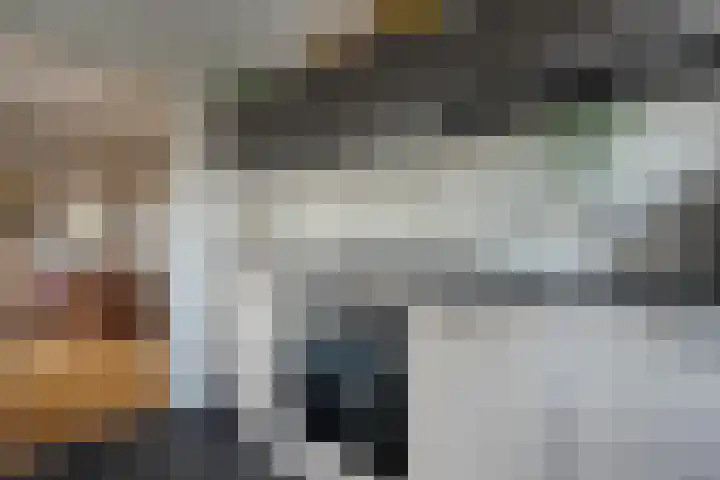 Dreeslaan 6 Havelte thumbnail 11