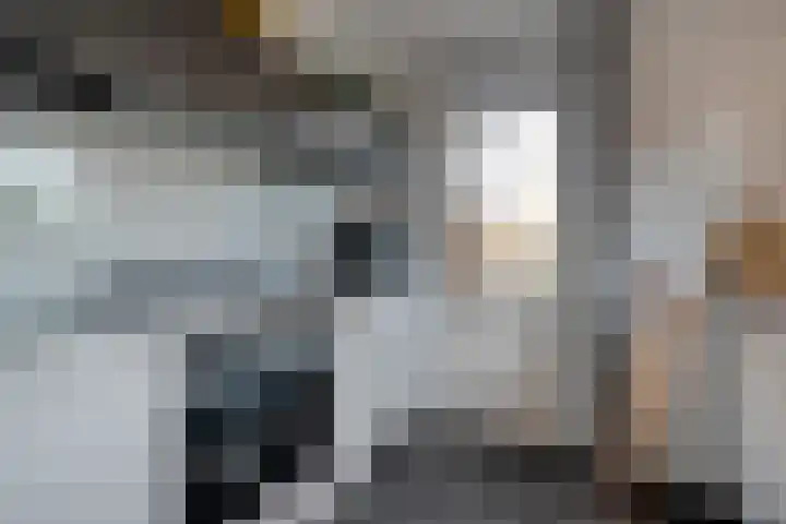 Dreeslaan 6 Havelte thumbnail 12