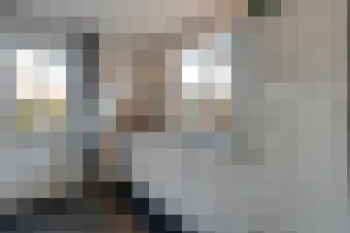 Dreeslaan 6 Havelte thumbnail 13