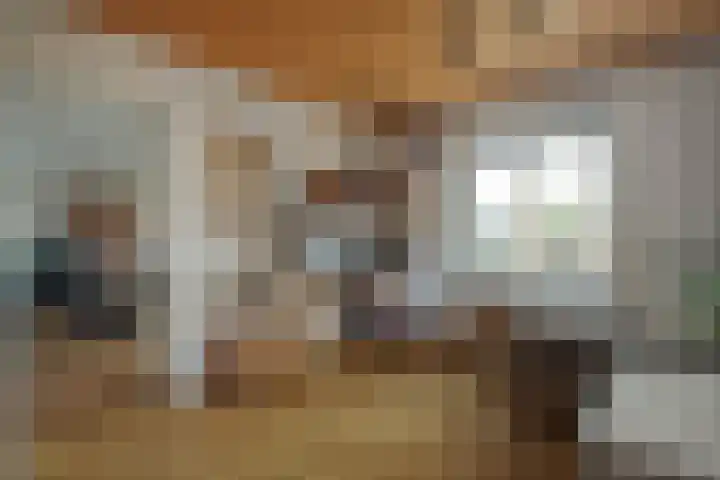 Dreeslaan 6 Havelte thumbnail 15