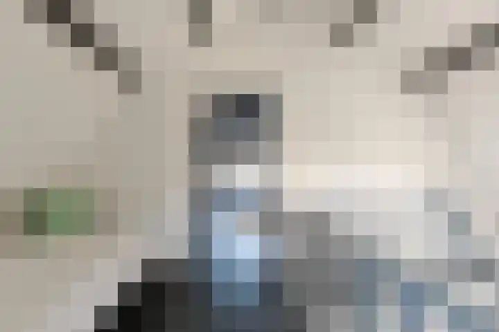 Dreeslaan 6 Havelte thumbnail 16