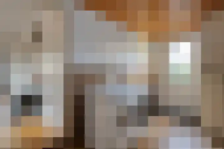 Dreeslaan 6 Havelte thumbnail 18