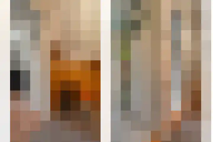 Dreeslaan 6 Havelte thumbnail 19