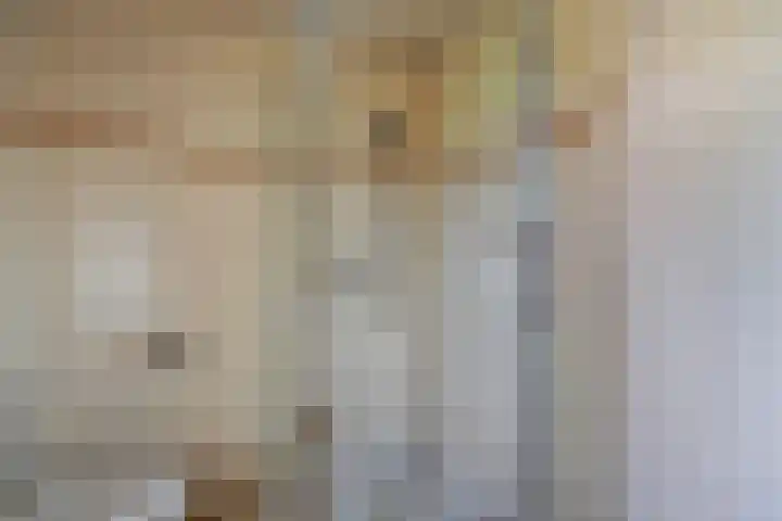 Dreeslaan 6 Havelte foto 2